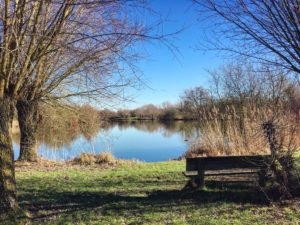 Slow Tourisme Valenciennes Hergnies Banc Lac Nature mouvement slow